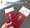 И-паспорт гэж юу вэ?
